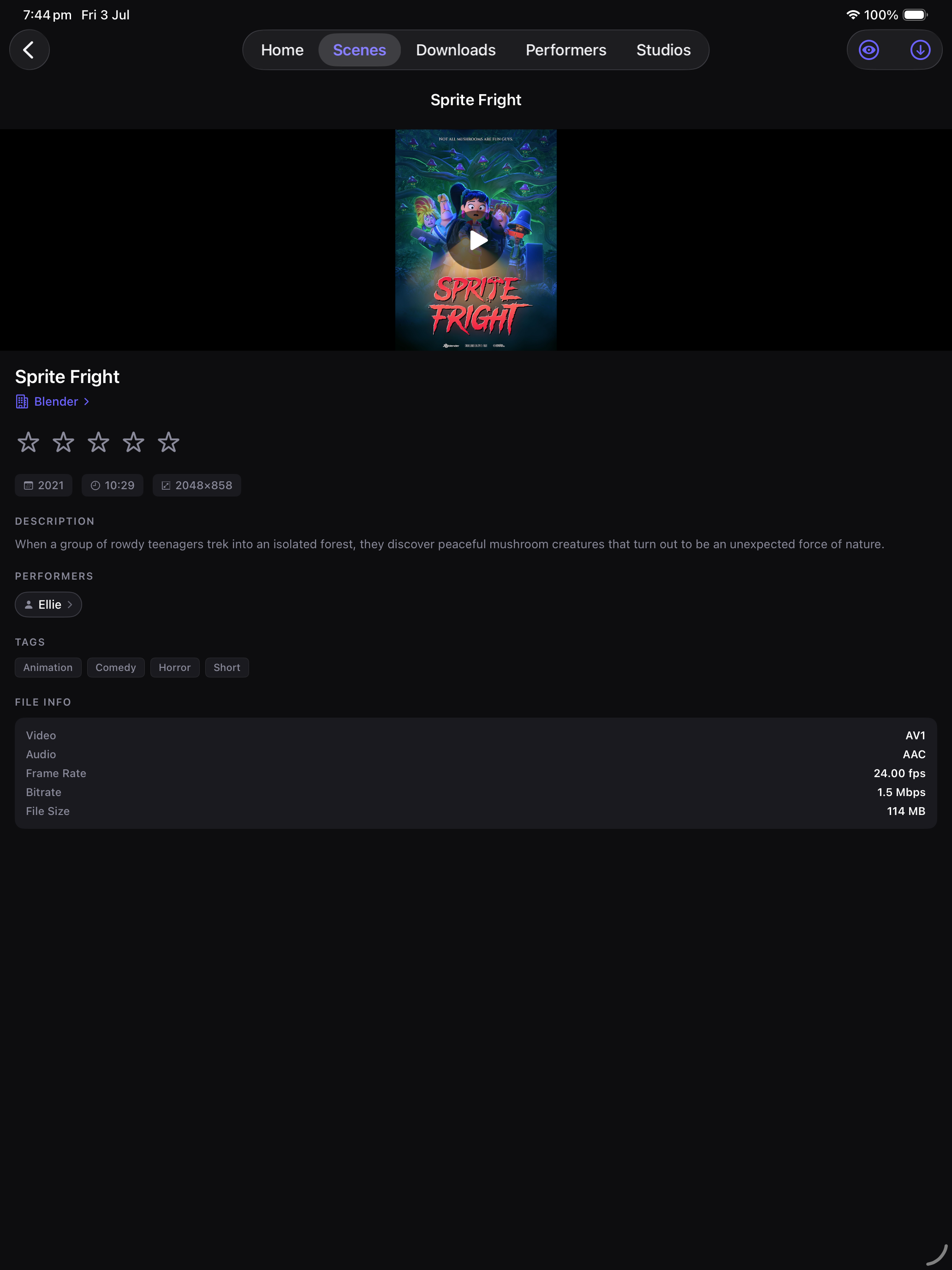 iPad scene detail and file info