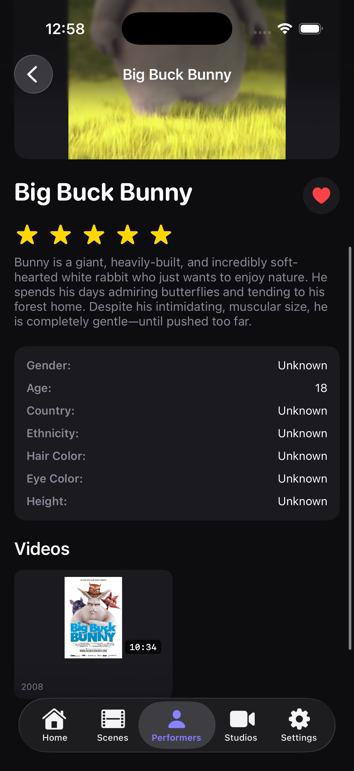 Scene metadata