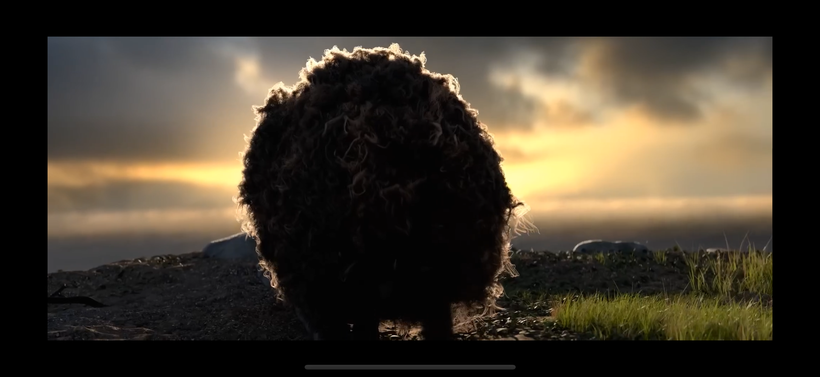 Landscape playback
