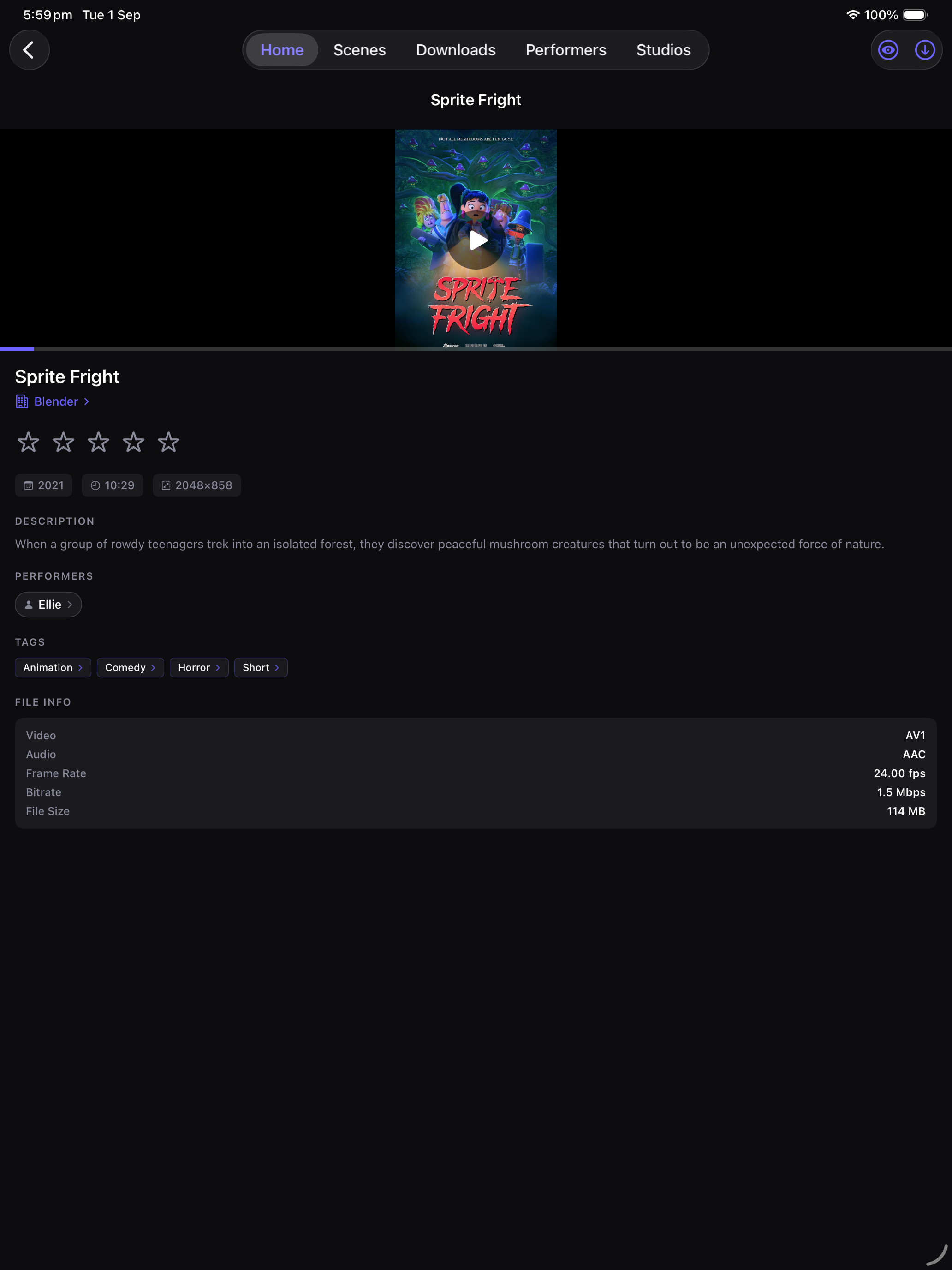 iPad scene details, tappable tags, and file info